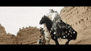 festivalequis  GIF