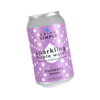DrinkSimple orange lemon sparkling raspberry Sticker