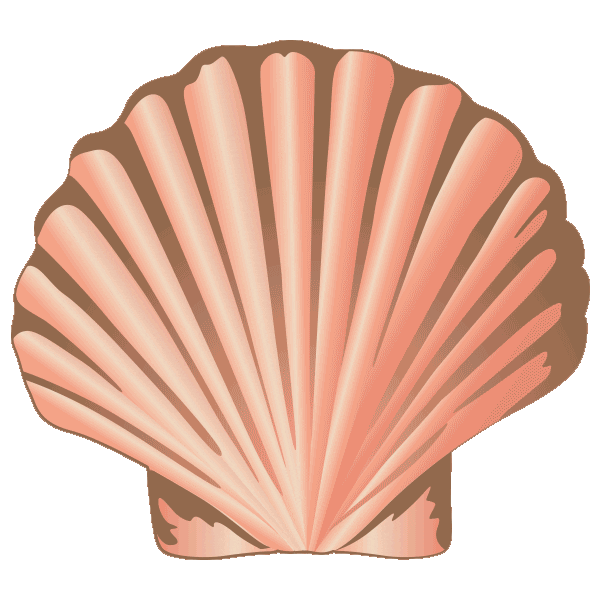 Beach Ocean Sticker by Spell & The Gypsy Collective