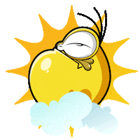 Happy Summer Sticker by Franco de Colombia