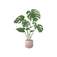 Plant Leaves Sticker