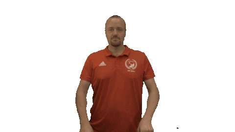 bsvleutherheide giphyupload fussball kreisliga leutherheide Sticker