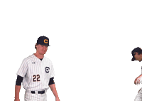 Uc Berkeley Baseball Sticker by Cal Athletics