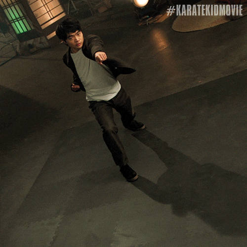 Karate Kid GIF by Sony Pictures