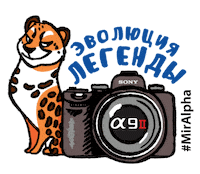 A9 Фотограф Sticker by Sony Россия
