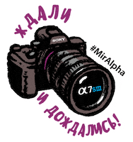 A9 Фотограф Sticker by Sony Россия