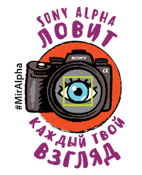 A9 Фотограф Sticker by Sony Россия