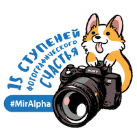 A9 Фотограф Sticker by Sony Россия