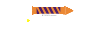 Festival Lights Sticker by Trends Footwear