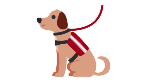 emojivid giphyupload animals emoji emojivid Sticker