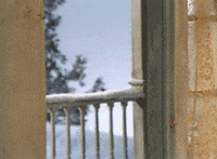 Fozzie Bear Ice GIF by Muppet Wiki