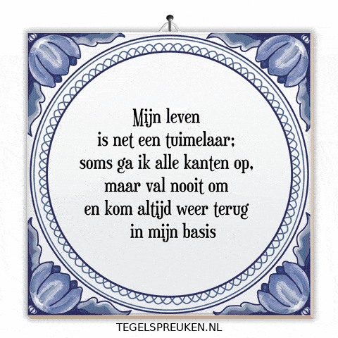 Focus Nl GIF by Tegelspreuken.nl