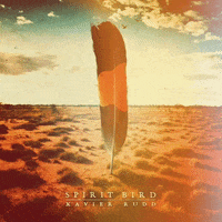 musicsquare music reggae album cover xavier rudd GIF