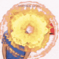 Bryce GIF
