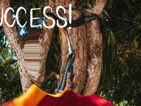 Germany Wow GIF by FranchiseONE.de