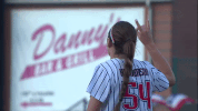 national pro fastpitch softball GIF by USSSA Pride