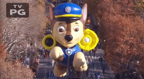 macysparade GIF by The 91st Annual Macy’s Thanksgiving Day Parade
