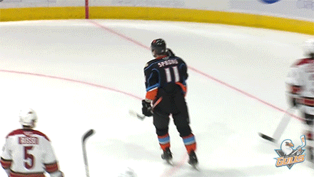 Anaheim Ducks Yes GIF by San Diego Gulls