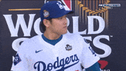World Series Sport GIF by MLB