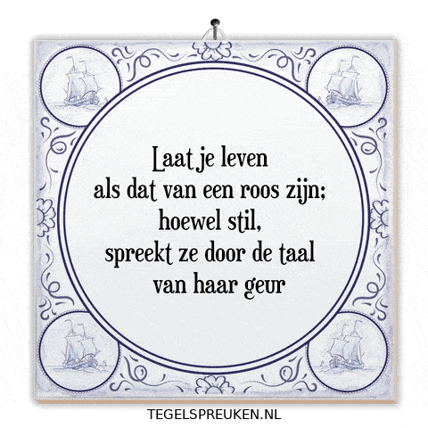 Humor Moment GIF by Tegelspreuken.nl