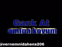 Vernemnidahens206 GIF