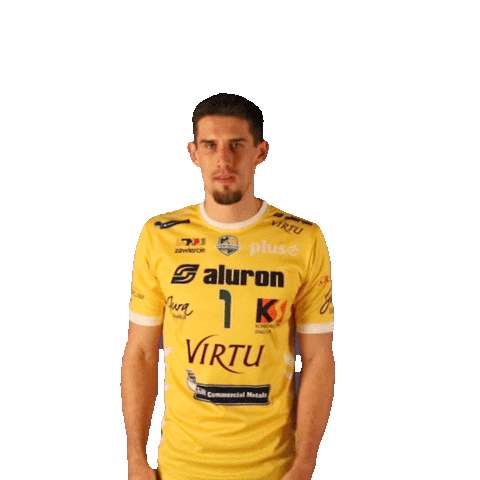 1-3 Virtu Sticker by Aluron CMC Warta Zawiercie