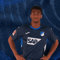 Sport Bundesliga GIF by TSG Hoffenheim