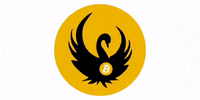 swanbitcoin crypto bitcoin ethereum finance GIF
