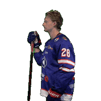 Day Match Sticker by VIF Hockey