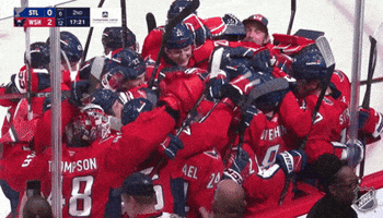 Happy Washington Capitals GIF by NHL