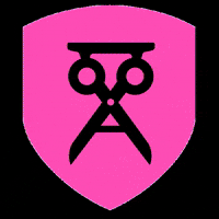 rosaundschwarz rosa dortmund friseur schwarz GIF