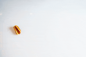 doop GIF by Philadelphia Union