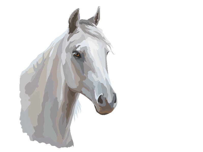 Equitana_official giphyupload pferd equitana Sticker