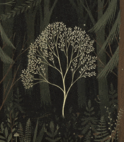 Allyouneediswall night magic tree calm GIF