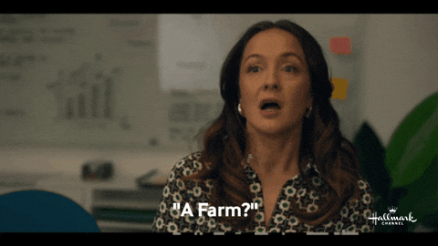 Loveuary GIF by Hallmark Channel