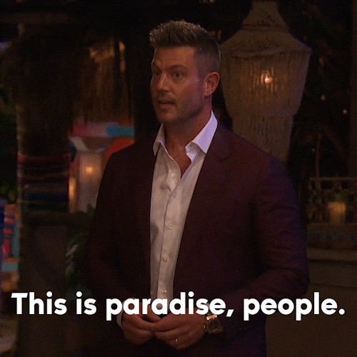 Hosting Jesse Palmer GIF by Bachelor in Paradise