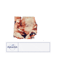 Young Sticker by AptaclubKR
