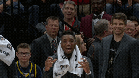 utahjazz giphyupload sports sport giphysports GIF