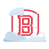Winter Sheild Sticker by Bradley University