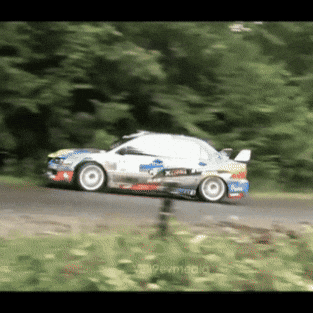 Rally Mitsubishi GIF