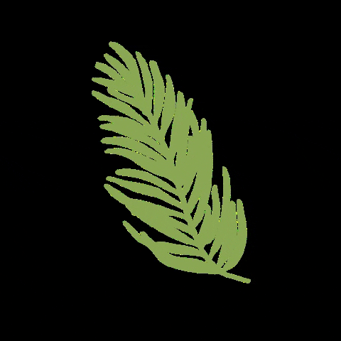 ashleyroseclothing giphygifmaker dance green leaf GIF