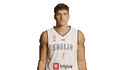 Bogdanbogdanovic Sticker by sportmts