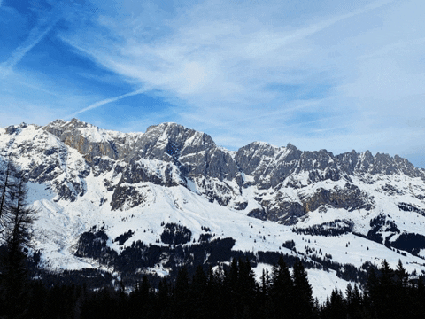 You Can Wow GIF by FranchiseONE.de