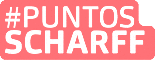 Business Emprender GIF by Scharff