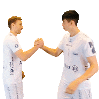 SWD_Powervolleys_Dueren volleyball libros volleyball bundesliga duren Sticker