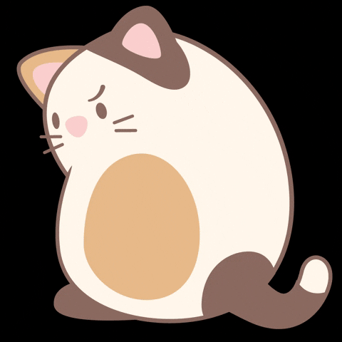 Cat No GIF by NICI GmbH