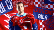 Daniel Gazda GIF by HC Dynamo Pardubice