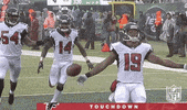 andre roberts football GIF by NFL