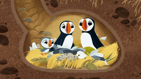 #puffin #rock #puffinrock #family #dinner #mama #papa #oona #baba GIF by Puffin Rock