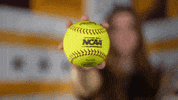 Loyola Softball GIF by LoyolaRamblers